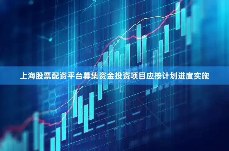 上海股票配资平台募集资金投资项目应按计划进度实施