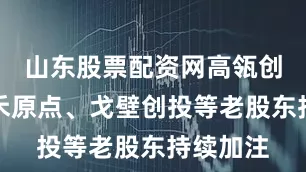 山东股票配资网高瓴创投、元禾原点、戈壁创投等老股东持续加注