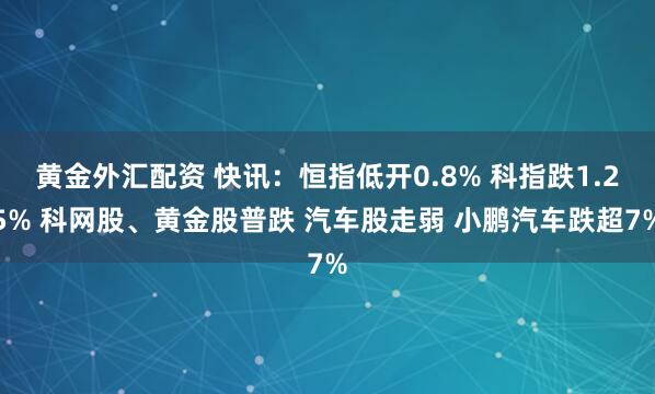 黄金外汇配资 快讯：恒指低开0.8% 科指跌1.25% 科网股、黄金股普跌 汽车股走弱 小鹏汽车跌超7%