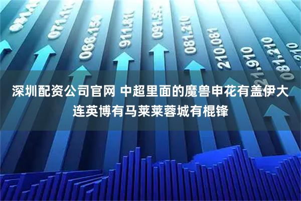 深圳配资公司官网 中超里面的魔兽申花有盖伊大连英博有马莱莱蓉城有棍锋